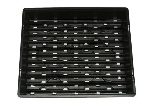 Raise Seedling Tray - AusPots