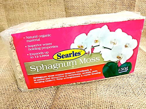 Sphagnum Moss by Searles