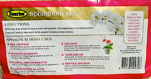 Sphagnum Moss by Searles