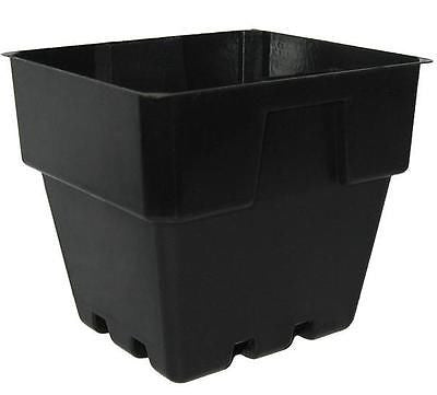 Plastic Squat Punnet Pots 100mm x 90pcs - For Plant Cutting, Seed Propagation - AusPots Permaculture