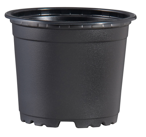 100mm TEKU Squat Pot - Black VCG - AusPots