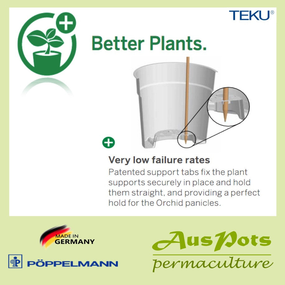 120mm Round Clear Pots -  Phalaenopsis / Orchid, Propagation, Seedlings - Ozpots