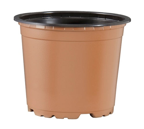 100mm TEKU Squat Pot - Terracotta VCG - AusPots