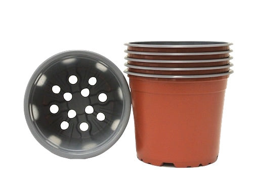 120mm TEKU Squat Round Pots VCG - AusPots