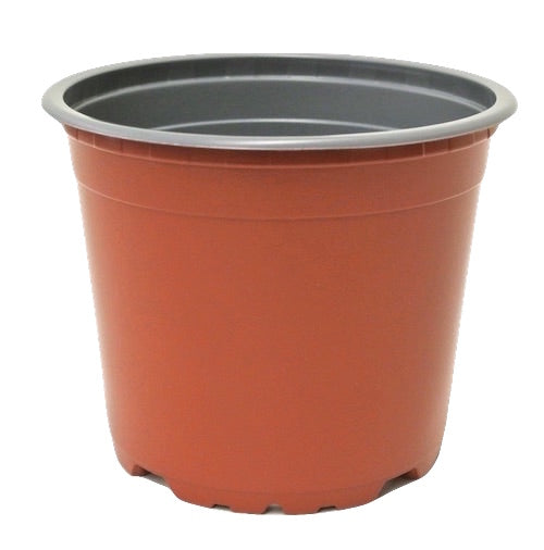 120mm TEKU Squat Round Pots VCG - AusPots