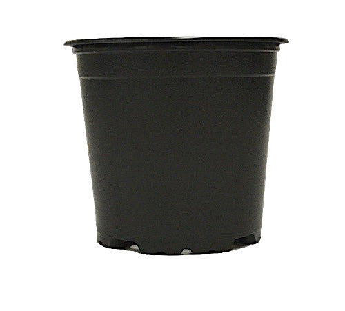 100mm TEKU Pot - Black VCH - AusPots