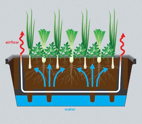 Foodcube - Wicking Garden Bed ( MELBOURNE ) - AusPots