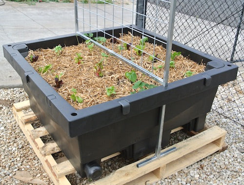 Foodcube - Wicking Garden Bed ( MELBOURNE ) - AusPots