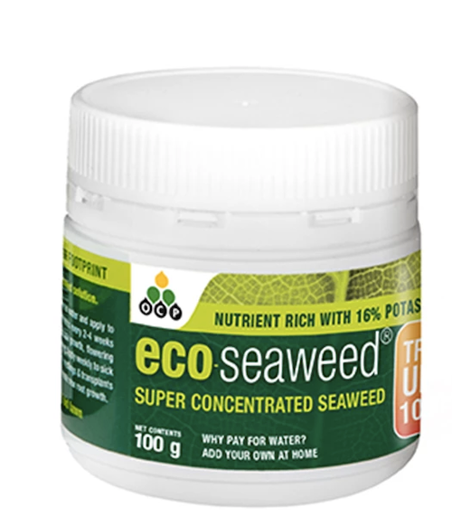 Eco-Seaweed