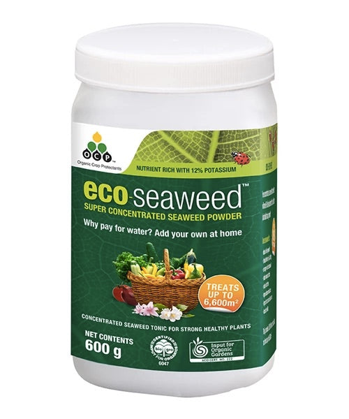 Eco-Seaweed