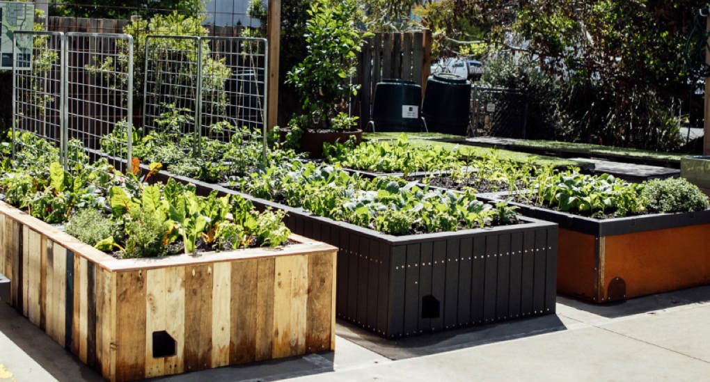 Foodcube - Wicking Garden Bed ( MELBOURNE ) - AusPots