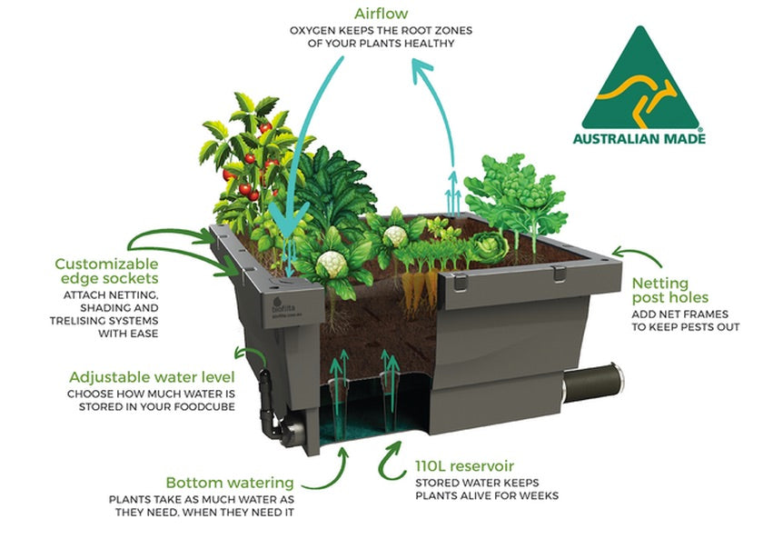 Foodcube - Wicking Garden Bed ( MELBOURNE ) - AusPots