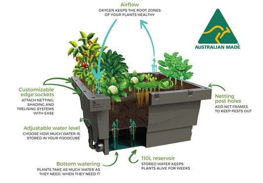 Foodcube - Wicking Garden Bed ( MELBOURNE ) - AusPots