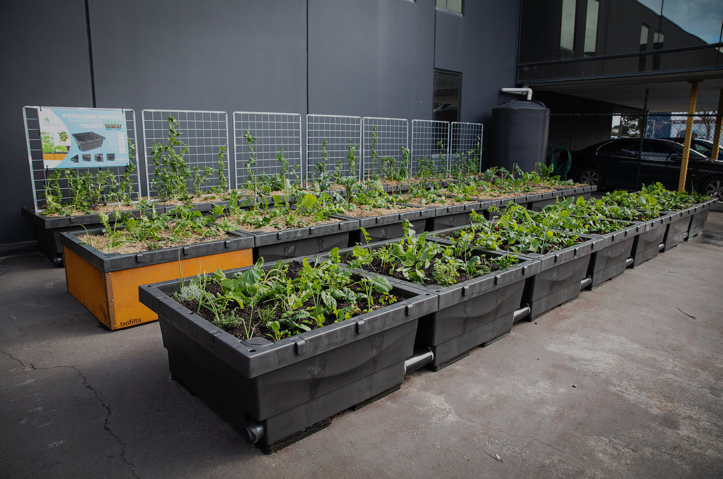 Foodcube - Wicking Garden Bed ( MELBOURNE ) - AusPots