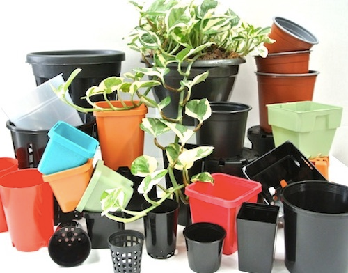 Plastic Pots