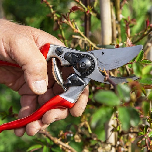 felco_left.jpg?v=1722068605