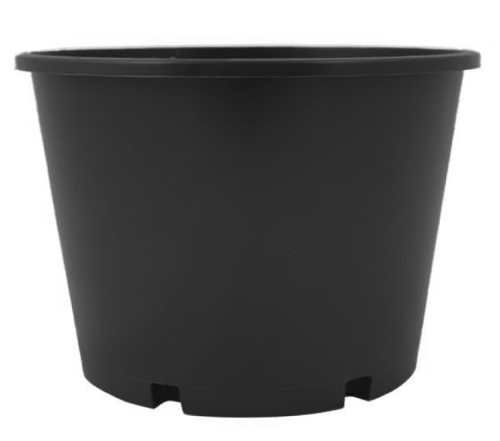 165mm Round Squat Pots x 50pcs