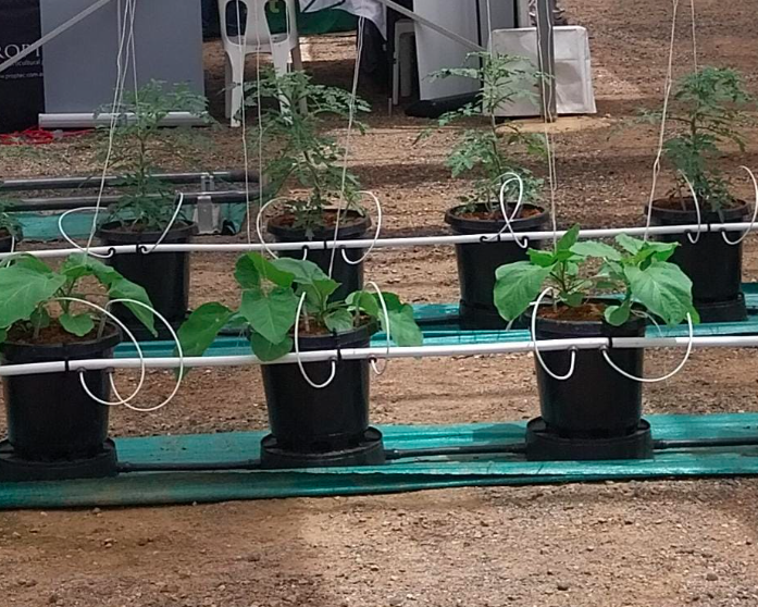 420mm Pot - High Feet + Base - Berries Growers