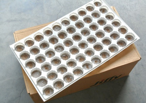 J-7 42mm pellets pack with 60cell Trays   - Bulk