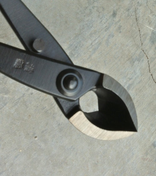 Bonsai Concave cutter 170mm -  Made in Japan