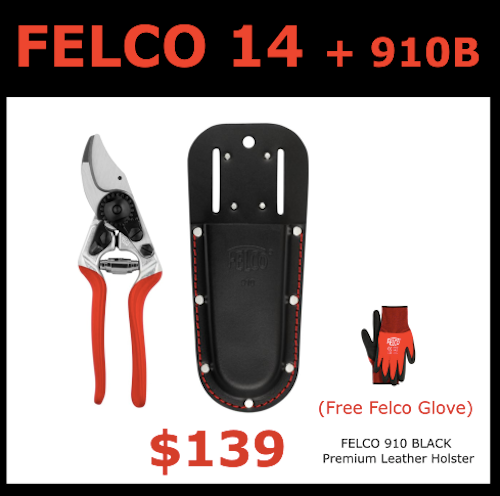 Felco 14 Secateurs + Felco 910 Black Leather Holster + Felco 701 Small Glove