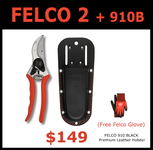 Felco 2 Secateurs + Felco 910 Black Leather Holster + Felco 701 Large Glove