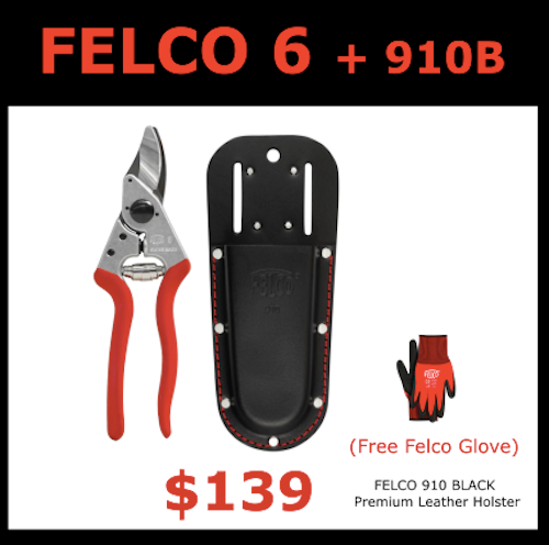 Felco 6 Secateurs + Felco 910 Black Leather Holster + Felco 701 Medium Glove