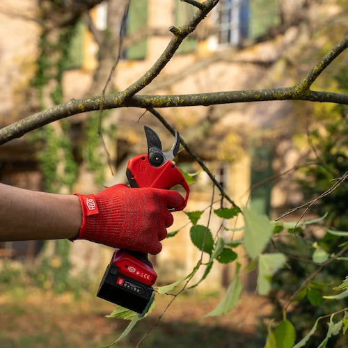 FELCO 2e Power Secateurs / Pruning Shear FREE Felco 906