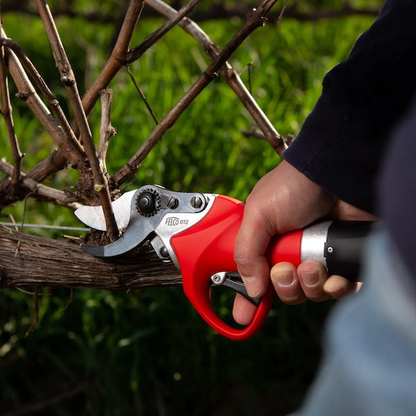 FELCO 812+ Kit Electric Pruning Shear inc 5.4Ah PowerPack