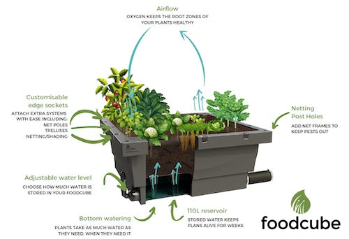 Gift to Graceville Community Garden