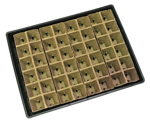 12cell Square Strips Jiffy Pot(60mm)with slits & Large Tray Set