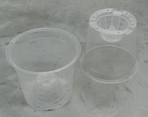 170mm TEKU Clear Recyclable - Orchids (MCO17)