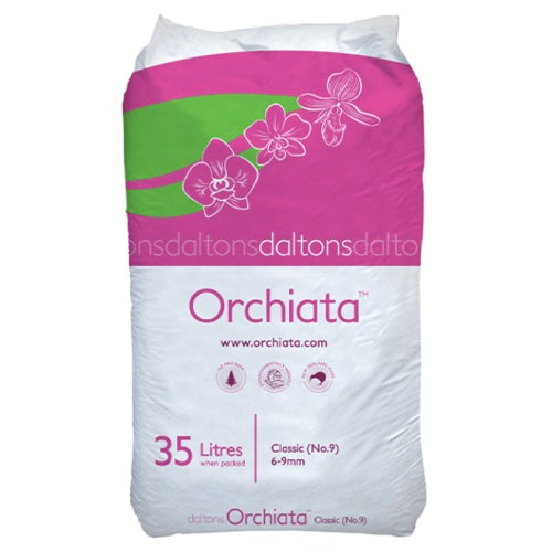 Orchiata -New Zealand Pinus Radiata by Besgrow Daltons