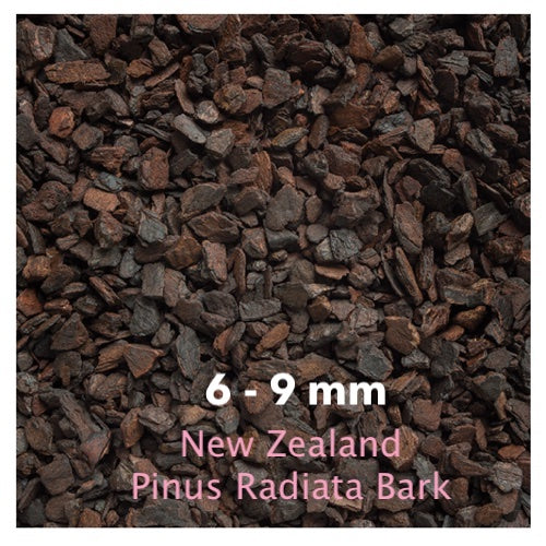 Orchiata -New Zealand Pinus Radiata by Besgrow Daltons