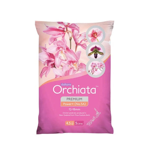 Orchiata -New Zealand Pinus Radiata by Besgrow Daltons