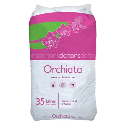 Orchiata -New Zealand Pinus Radiata by Besgrow Daltons