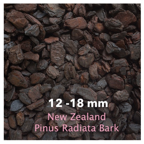 Orchiata -New Zealand Pinus Radiata by Besgrow Daltons