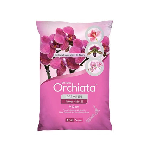 Orchiata -New Zealand Pinus Radiata by Besgrow Daltons