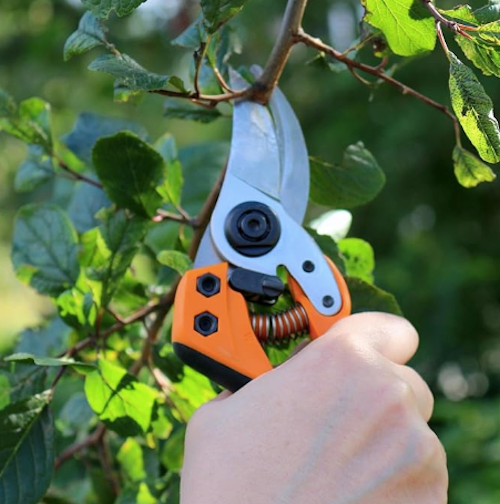 Fiskars PB-8 M Bypass Secateur