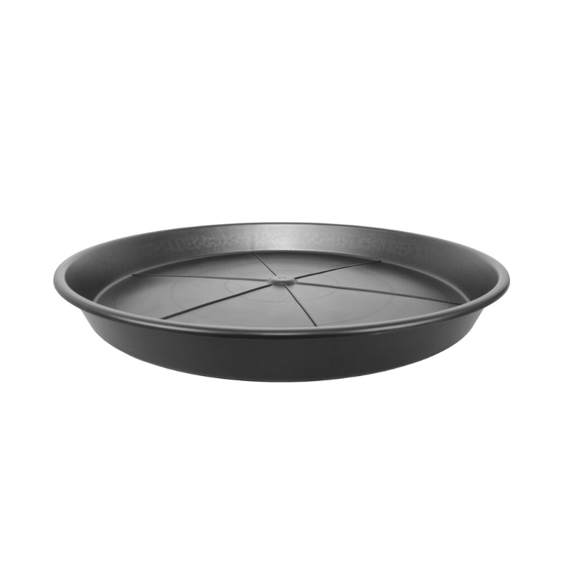 580mm Saucer