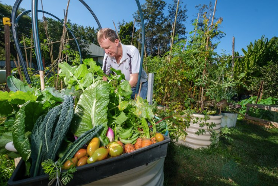 Gift to Graceville Community Garden