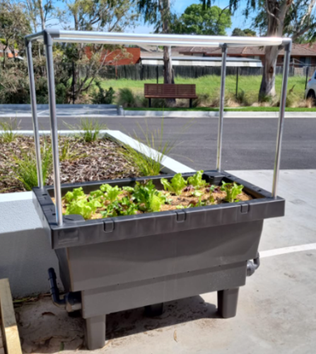 Foodcube Netting Frame