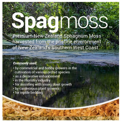 Spagmoss - Sphagnum Moss by Besgrow NZ - 100g / 8L