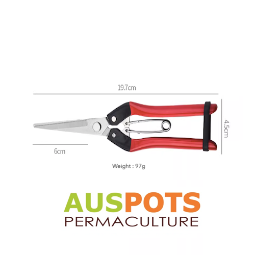 Stainless Steel Pruning Picking and Trimming Snip / Shear