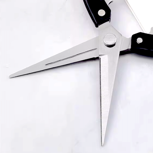 Stainless Steel Pruning Picking and Trimming Snip / Shear
