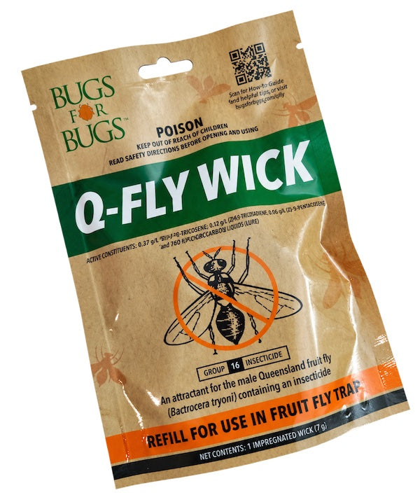 Fruit Fly Trap & Wick set by Bugs for Bugs - Attracts male QLD fruit flies.