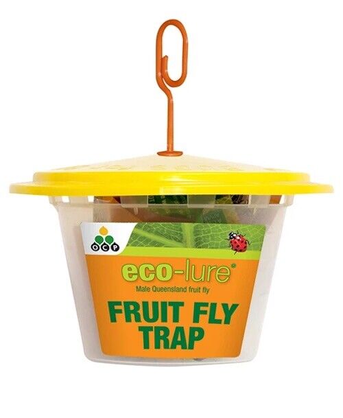 Eco-Lure Fruit Fly Trap & Wick set - Attracts male QLD fruit flies.