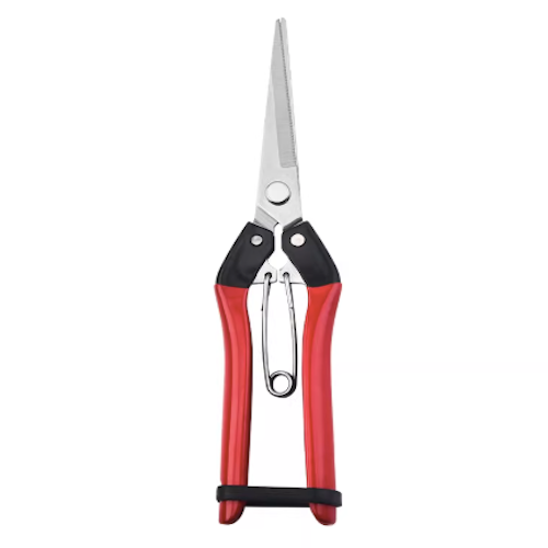 Stainless Steel Pruning Picking and Trimming Snip / Shear