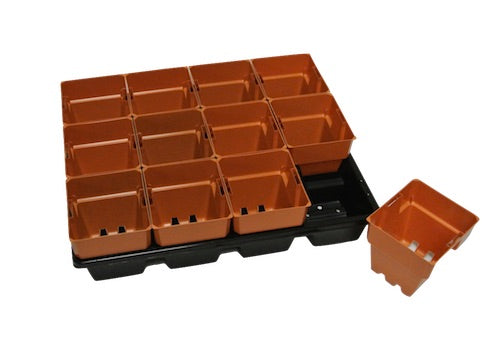 100mm Squat Punnet Pots with Tray - Clay - AusPots