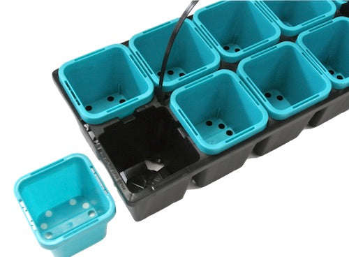 63mm Square Squat Pot(Aqua Colour) & 10cell Tray with Handle Set